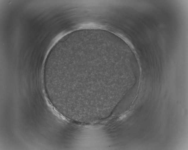 X0000080811008200701021311