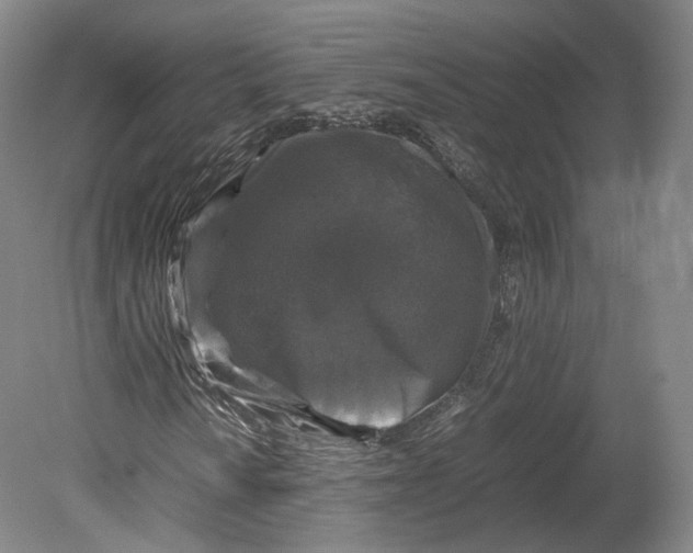 X0000080811010200701021310