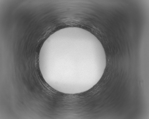 X0000080811012200701021310