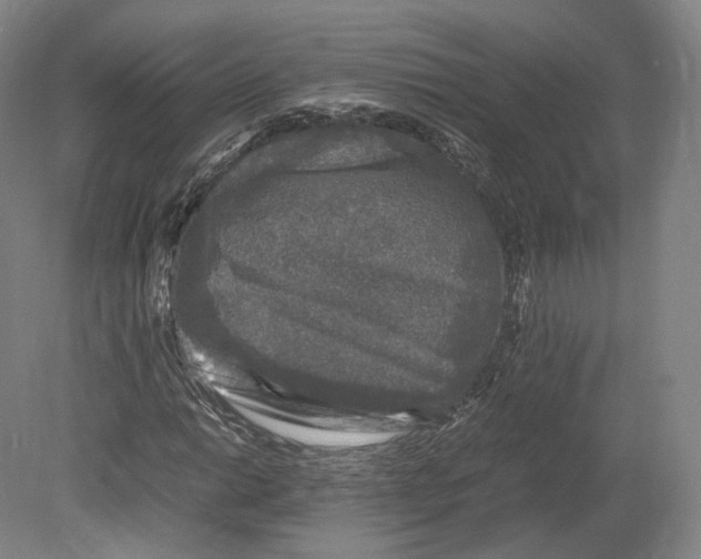 X0000080811014200701021310