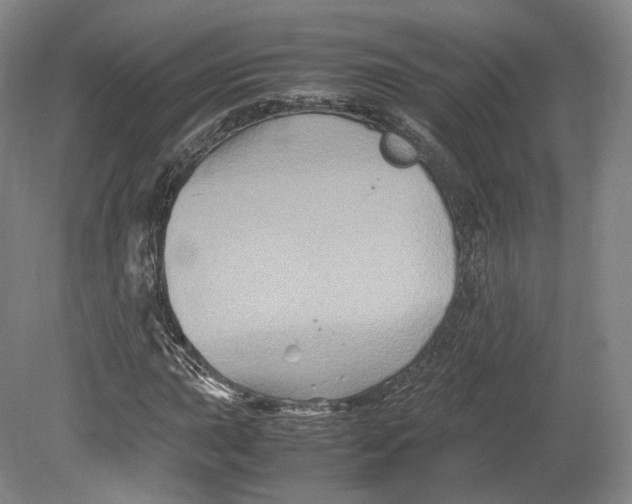 X0000080811015200701021310