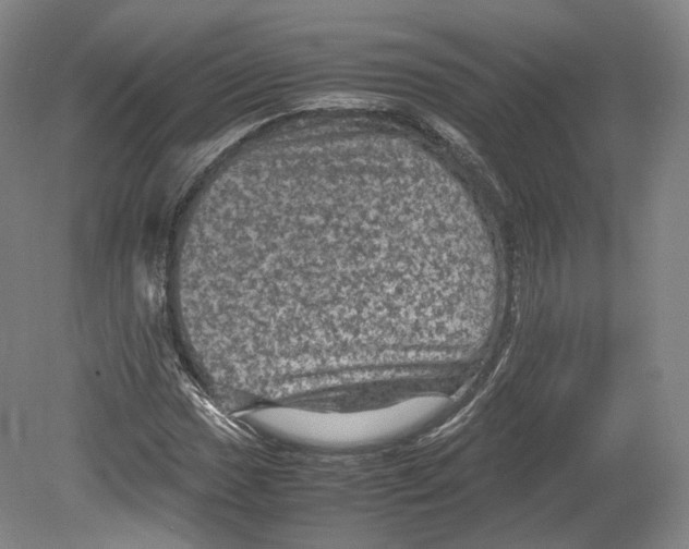 X0000080811017200701021310