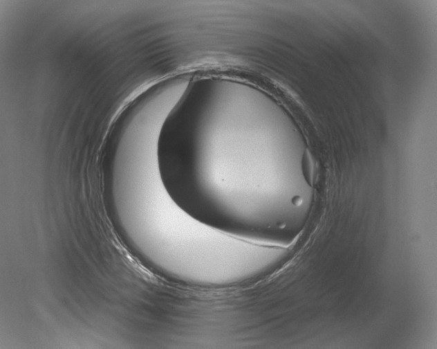 X0000080811018200701021310