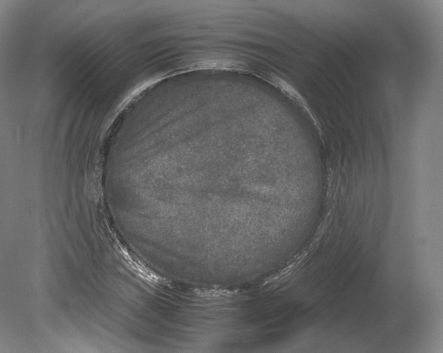 X0000080811019200701021310