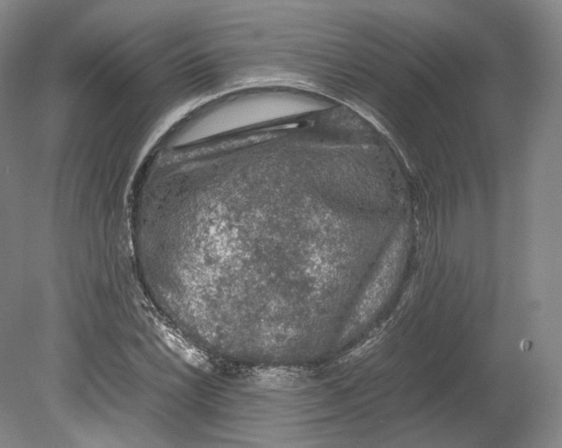 X0000080811022200701021310