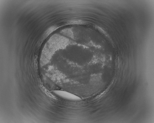 X0000080811025200701021310