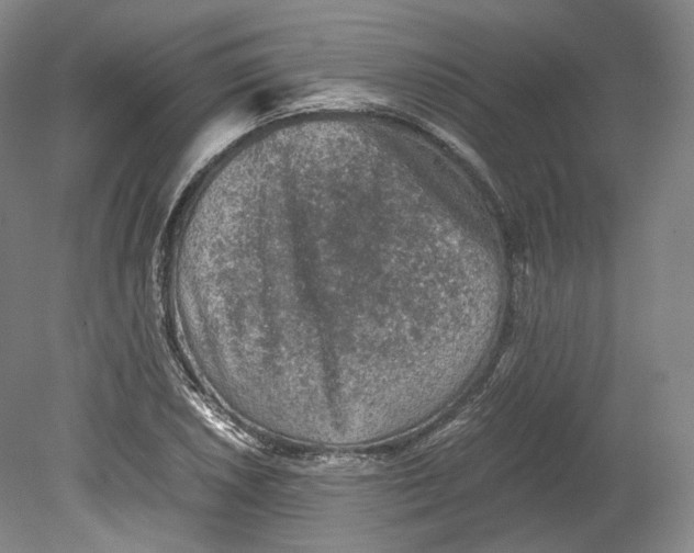 X0000080811026200701021310