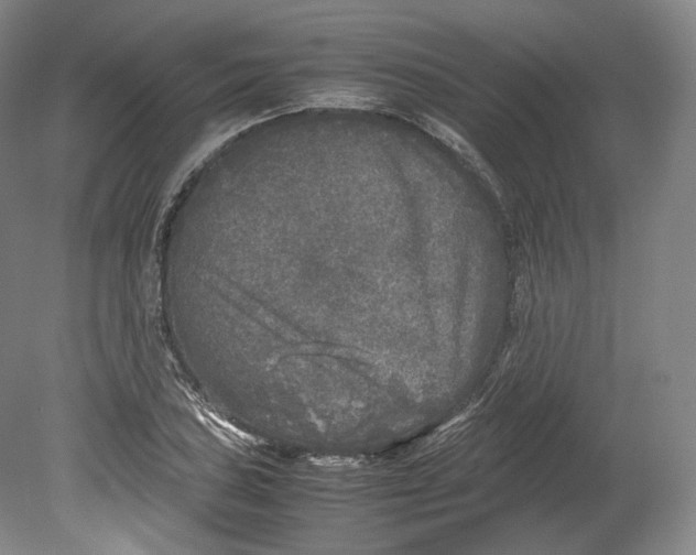 X0000080811027200701021310