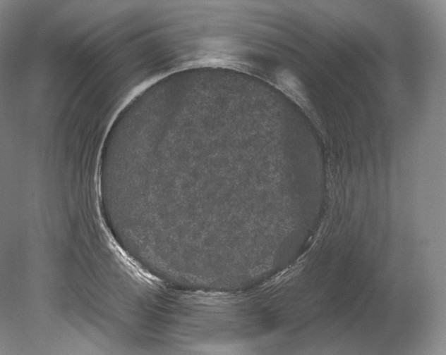 X0000080811028200701021310