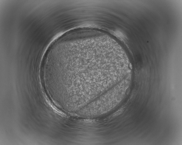 X0000080811029200701021310