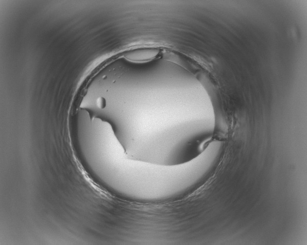 X0000080811030200701021310