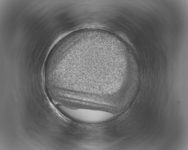 X0000080811032200701021310