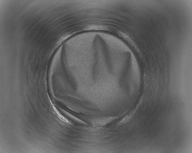 X0000080811033200701021310