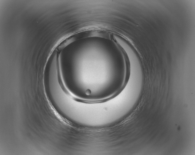 X0000080811034200701021310