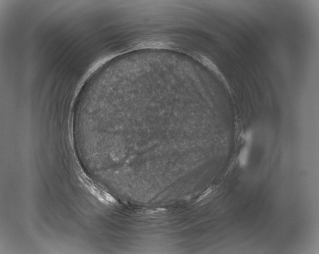 X0000080811035200701021310