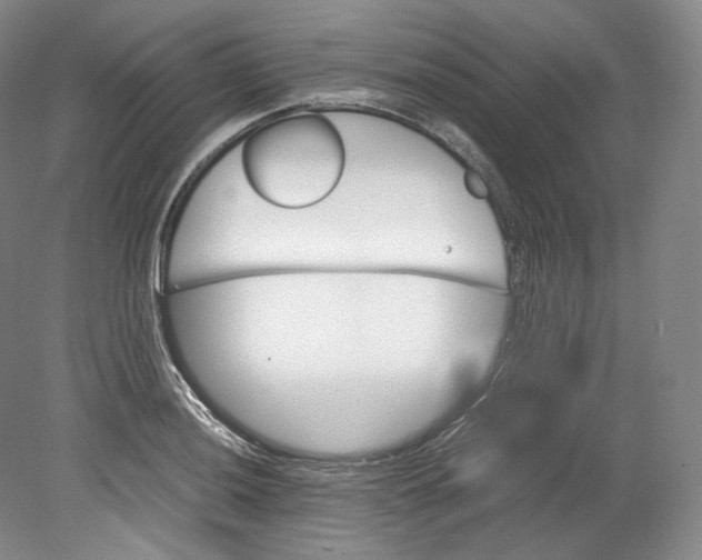 X0000080811036200701021310