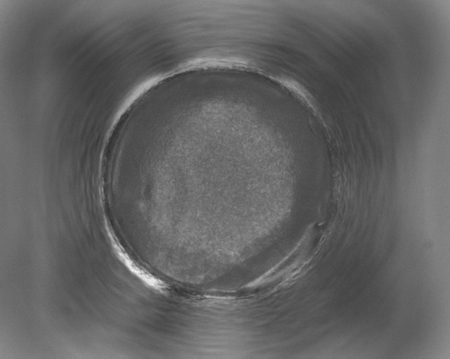 X0000080811038200701021310