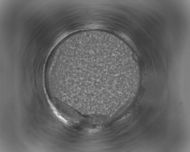 X0000080811039200701021310