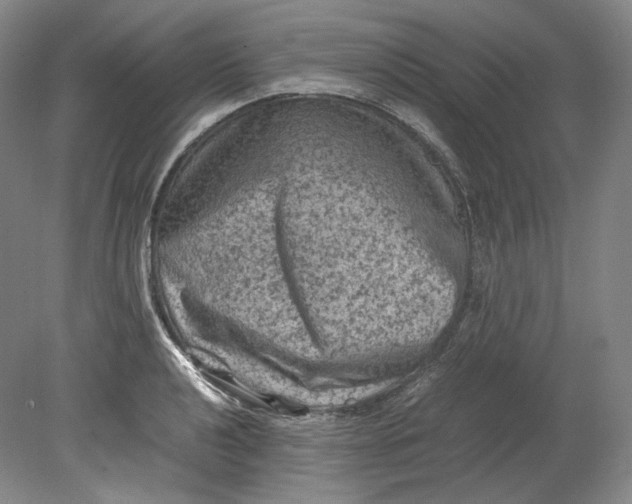 X0000080811040200701021310