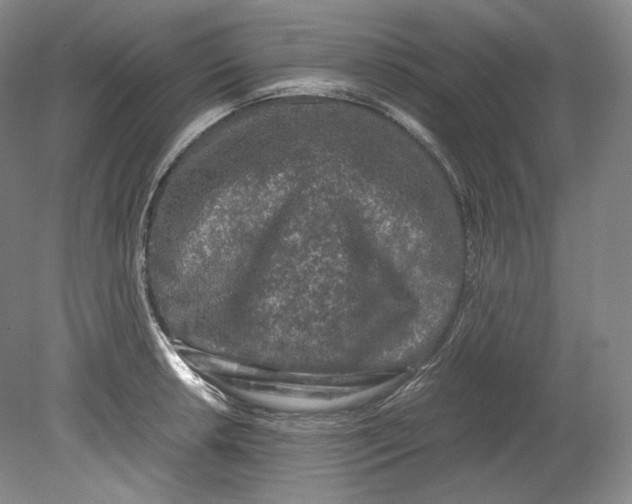 X0000080811042200701021310