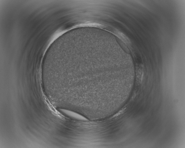 X0000080811044200701021310