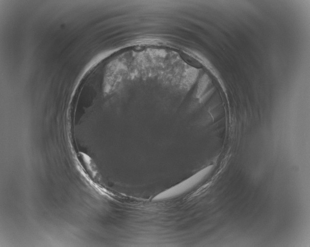 X0000080811045200701021310