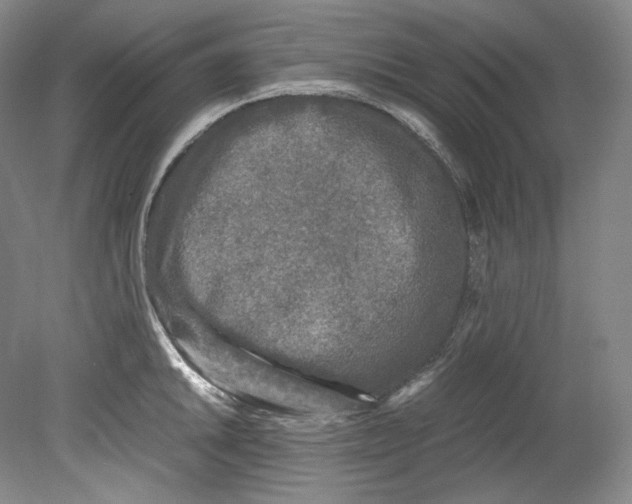 X0000080811046200701021310