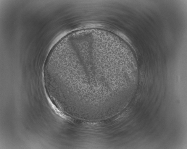 X0000080811047200701021311