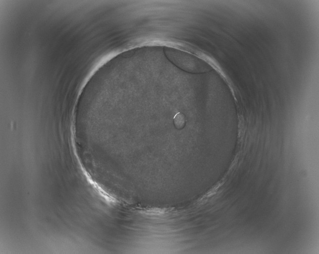 X0000080811048200701021311