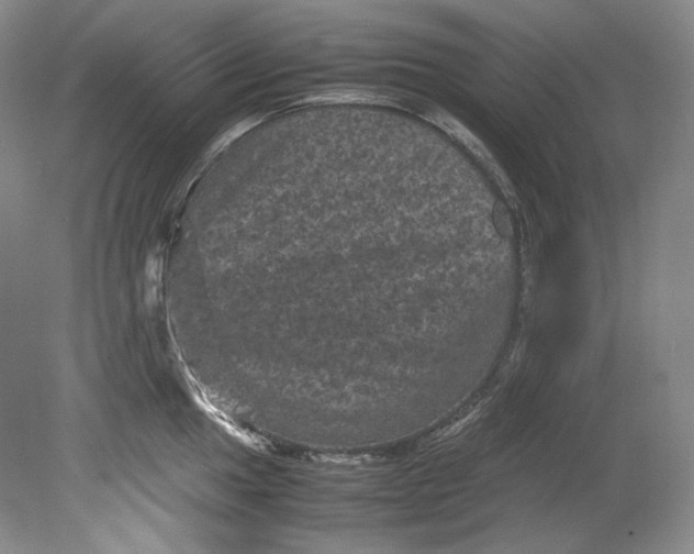 X0000080811049200701021311