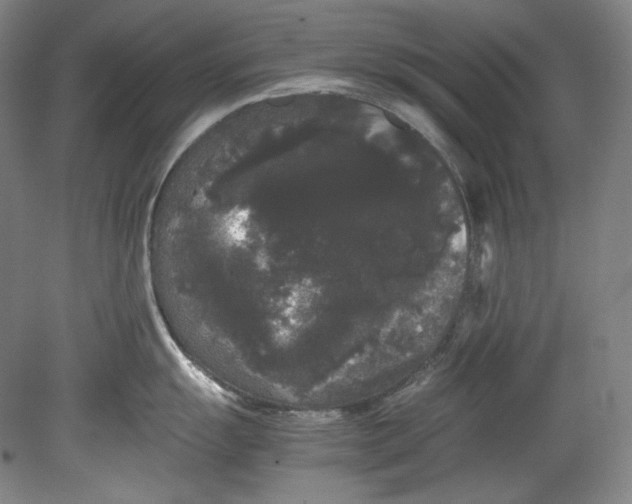 X0000080811055200701021311