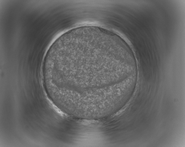 X0000080811056200701021311