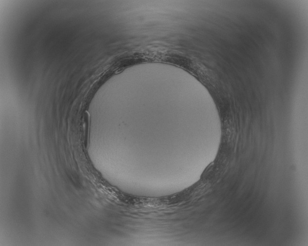 X0000080811057200701021310