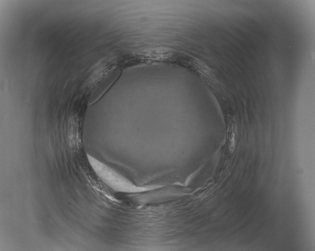 X0000080811058200701021310