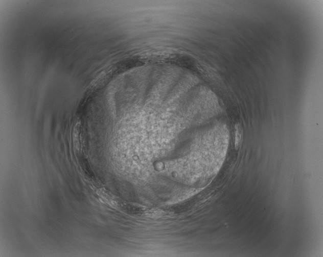 X0000080811059200701021310