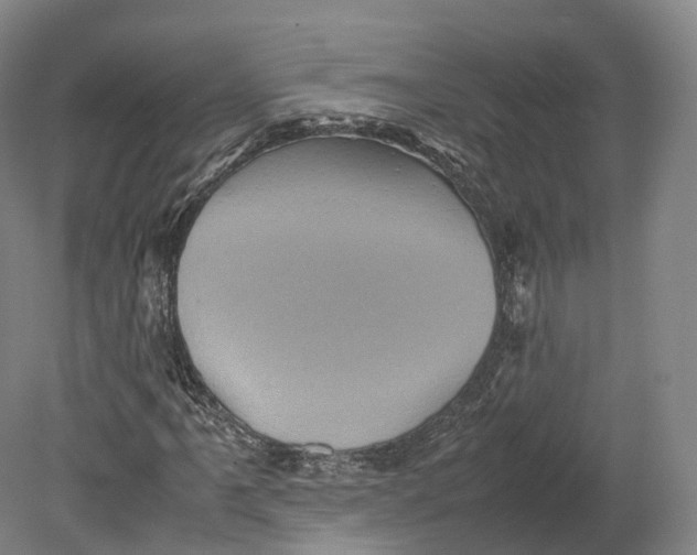 X0000080811061200701021310