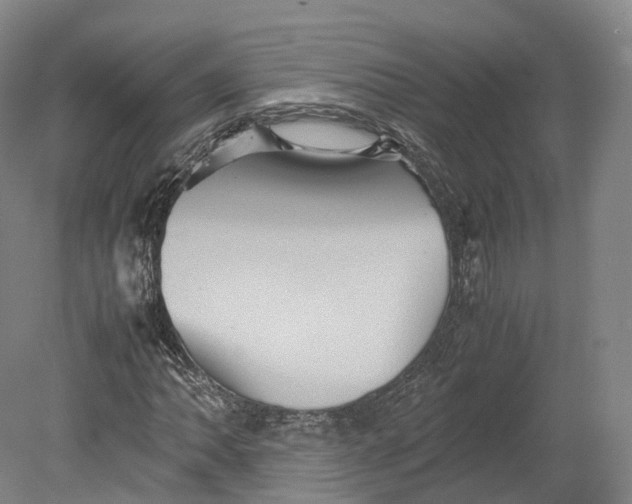 X0000080811062200701021310