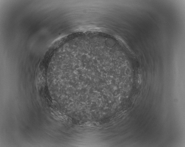 X0000080811063200701021310