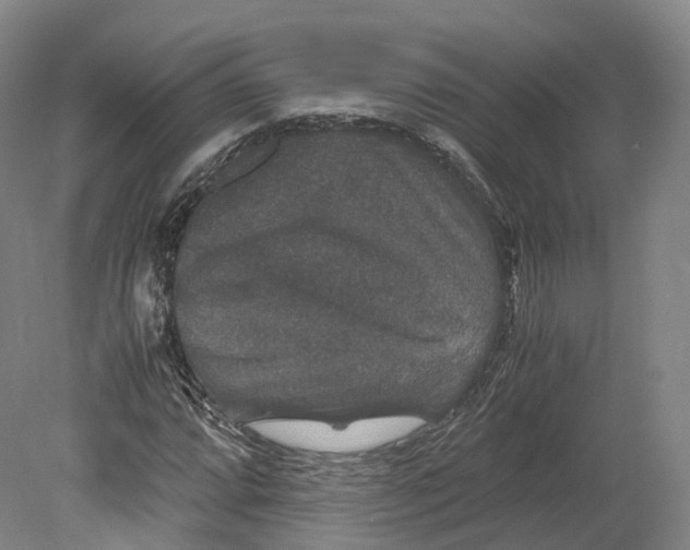 X0000080811064200701021310