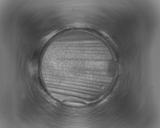 X0000080811065200701021310