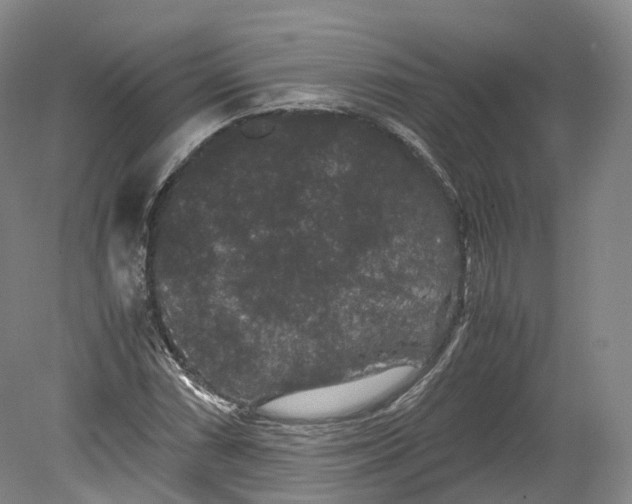 X0000080811066200701021310