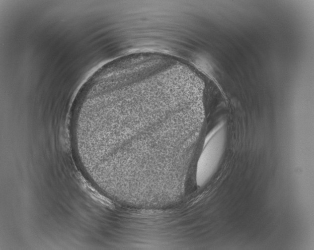 X0000080811068200701021310