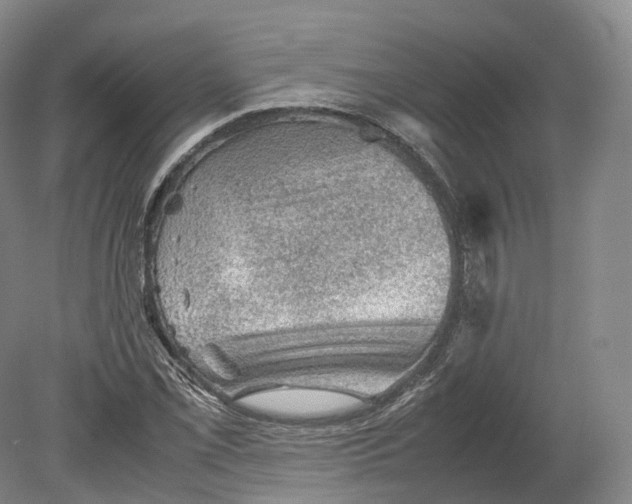 X0000080811069200701021310