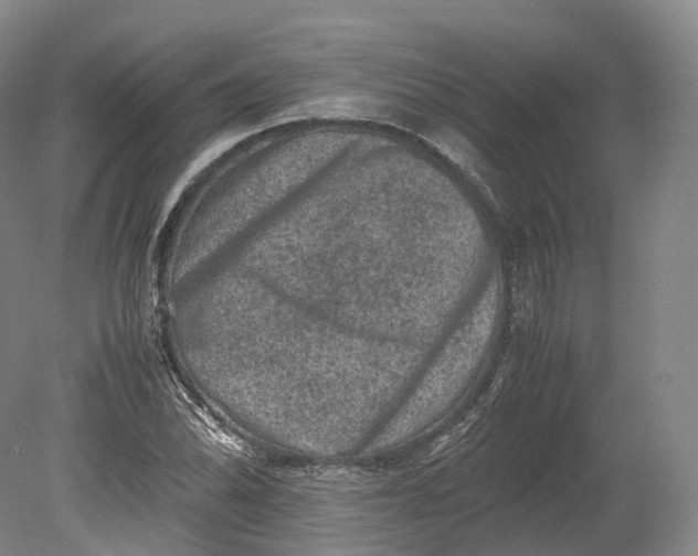 X0000080811070200701021310