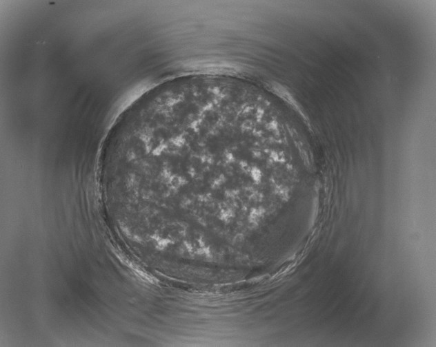 X0000080811071200701021310