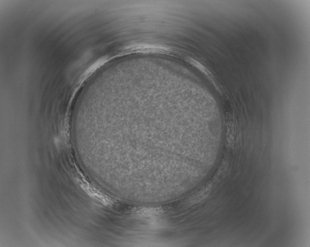 X0000080811074200701021310