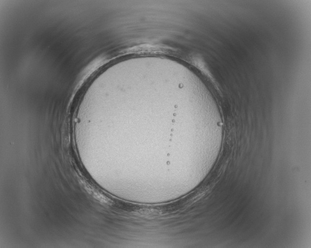 X0000080811075200701021310