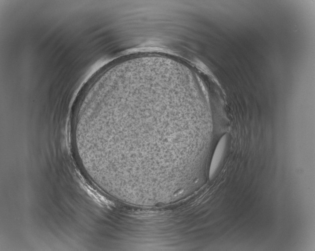 X0000080811076200701021310