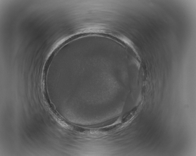 X0000080811077200701021310