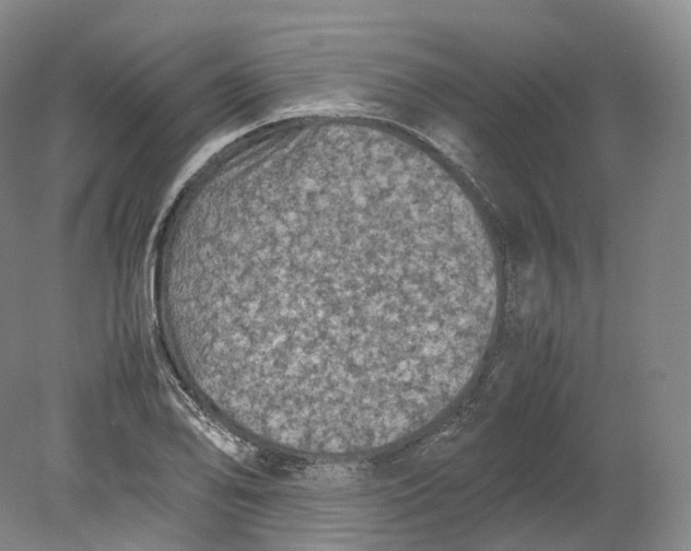 X0000080811078200701021309